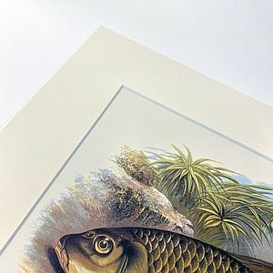 DW - PP SM3293 - CREME - 40X30 - 40X50