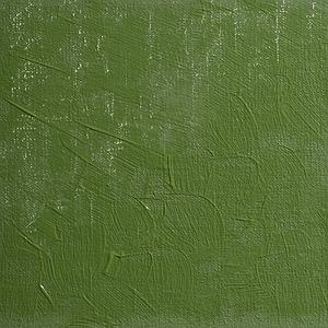 OLIEVERF 35ML - 561 LAMORINERE GROEN