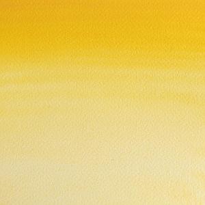 PROFESSIONAL WATERVERF 1/2 NAP - 649 TURNER GEEL