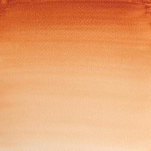 PROFESSIONAL WATERVERF TUBE 14ML - 074 SIENNA GEBRAND