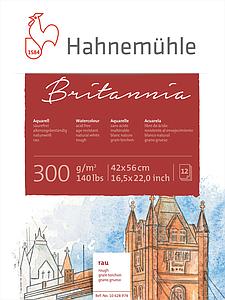 BRITANNIA - ROUGH 300GR - 12V - 42X56CM